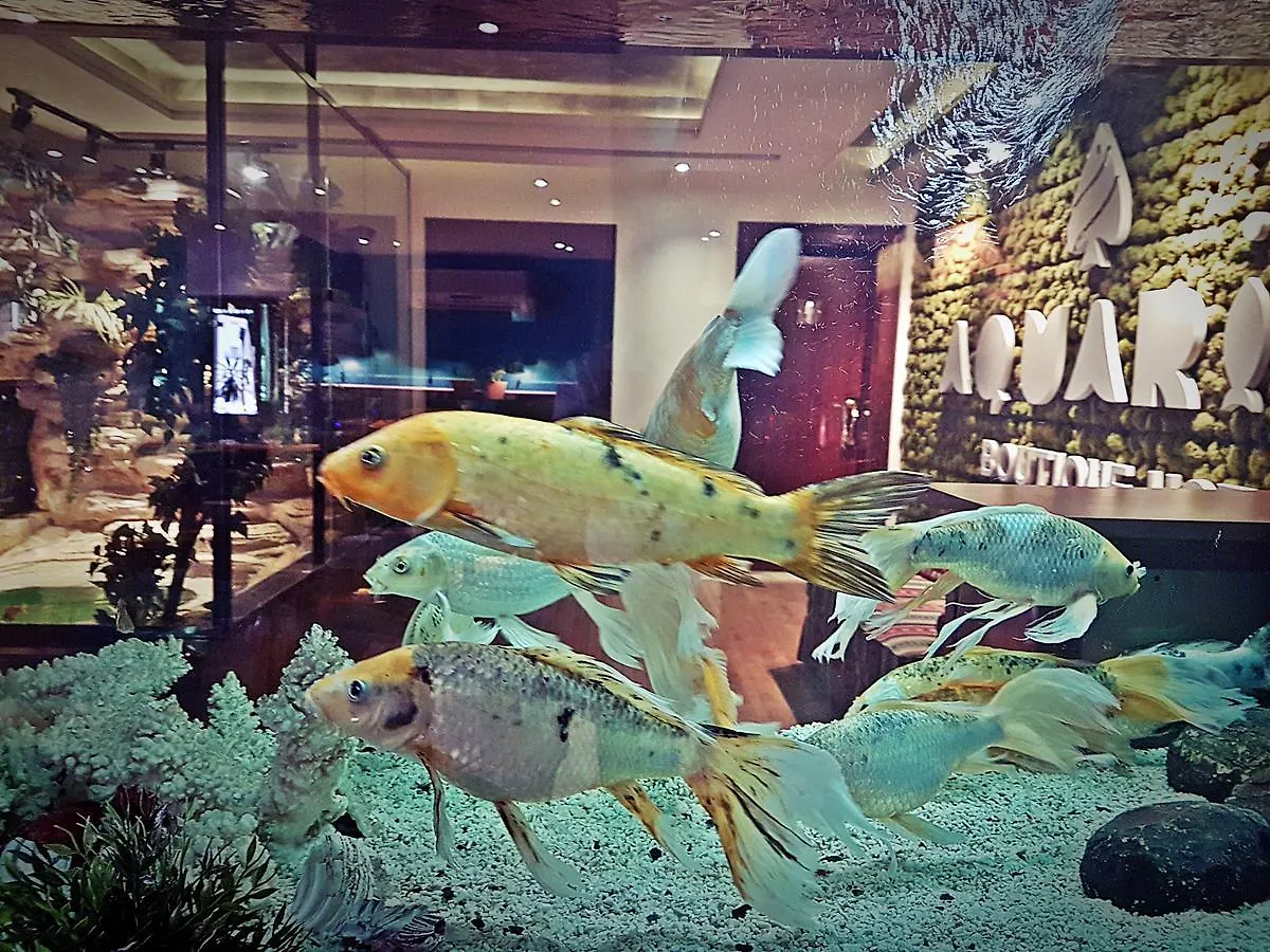 Aquarium Hotel Riyadh