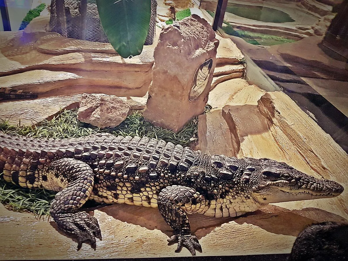 Aquarium Hotel Riyadh Saudi Arabia