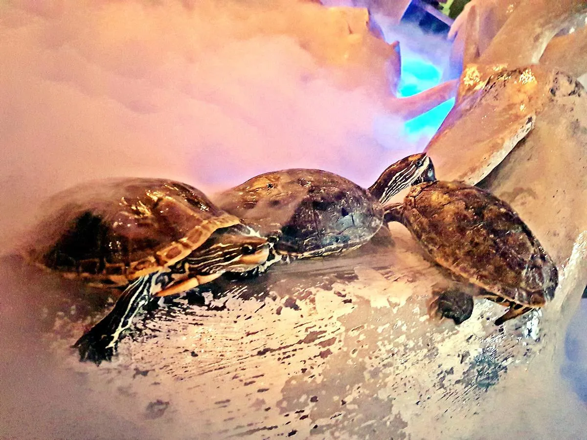 ***  Aquarium Hotel Riyadh Saudi Arabia